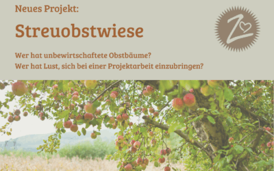 Alte Obstbäume pflegen – Projekt für Naturliebhaber